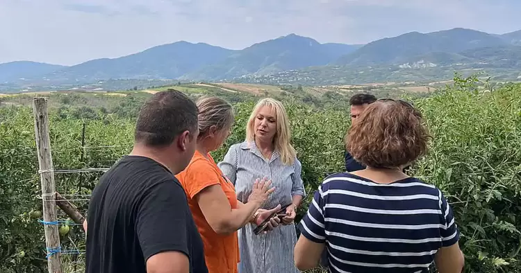 Έγκαιρη καταβολή των αποζημιώσεων για τις ζημιές από τη χαλαζόπτωση στην Πιερία ζήτησε η Άννα Μάνη