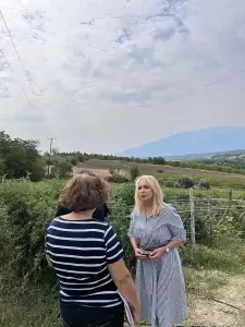 Έγκαιρη καταβολή των αποζημιώσεων για τις ζημιές από τη χαλαζόπτωση στην Πιερία ζήτησε η Άννα Μάνη