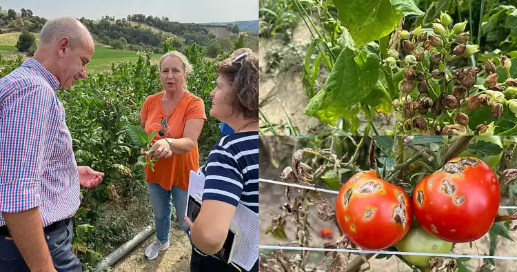 Ο Φώντας Μπαραλιάκος στις περιοχές που “χτυπήθηκαν” από το χαλάζι