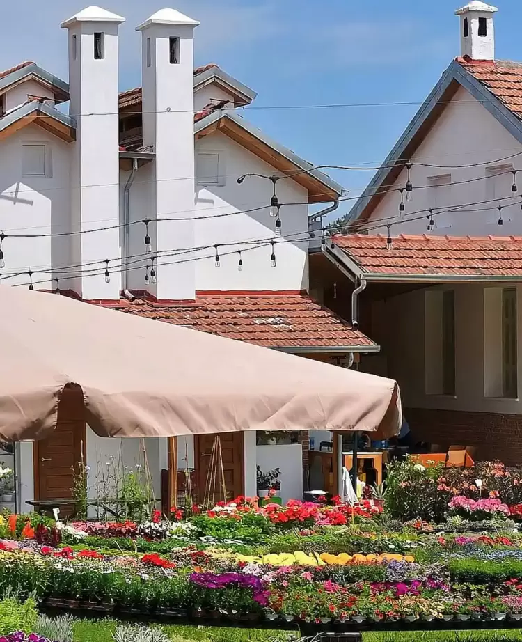 Καπνικός Σταθμός Κατερίνης: Ένα πανελλήνιο πείραμα υποδειγματικής προσφοράς και αλληλεγγύης