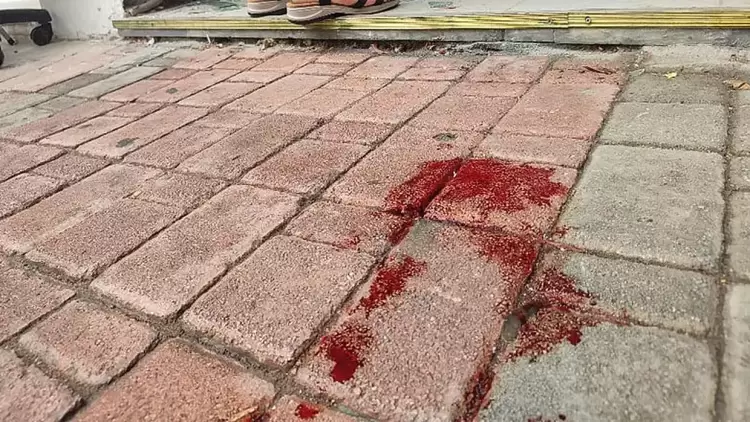 Κατερίνη: Τραγωδία, γυναίκα έπεσε σε τζαμαρία και τραυματίστηκε θανάσιμα Κατερίνη: Τραγωδία, γυναίκα έπεσε σε τζαμαρία και τραυματίστηκε θανάσιμα