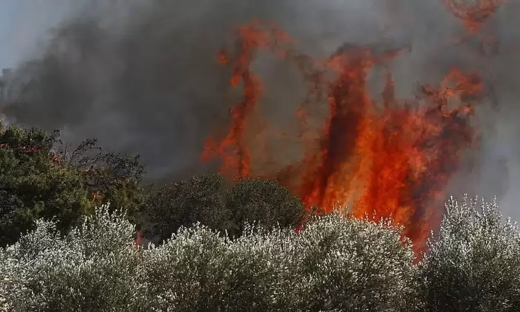 Πιερία: Έπεσε το πρόστιμο για τη φωτιά στο Λιτόχωρο