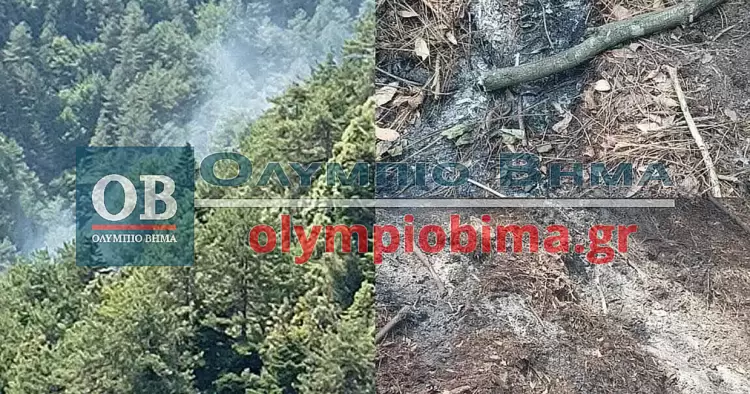 Πιερία: Φωτιά στον Όλυμπο σε χαράδρα – Επιχειρεί και ελικόπτερο και είναι υπο έλεγχο