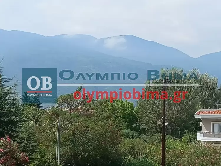 Πιερία: Νέα φωτιά από κεραυνό στις Καρυές Πιερίας