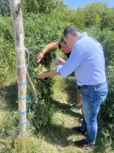 Την επιτάχυνση της διαδικασίας εκταμίευσης των αποζημιώσεων για τους αγρότες από τη χαλαζόπτωση, ζήτησε ο Σπύρος Κουλκουδίνας Την επιτάχυνση της διαδικασίας εκταμίευσης των αποζημιώσεων για τους αγρότες από τη χαλαζόπτωση, ζήτησε ο Σπύρος Κουλκουδίνας