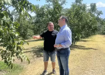 Την επιτάχυνση της διαδικασίας εκταμίευσης των αποζημιώσεων για τους αγρότες από τη χαλαζόπτωση, ζήτησε ο Σπύρος Κουλκουδίνας Την επιτάχυνση της διαδικασίας εκταμίευσης των αποζημιώσεων για τους αγρότες από τη χαλαζόπτωση, ζήτησε ο Σπύρος Κουλκουδίνας