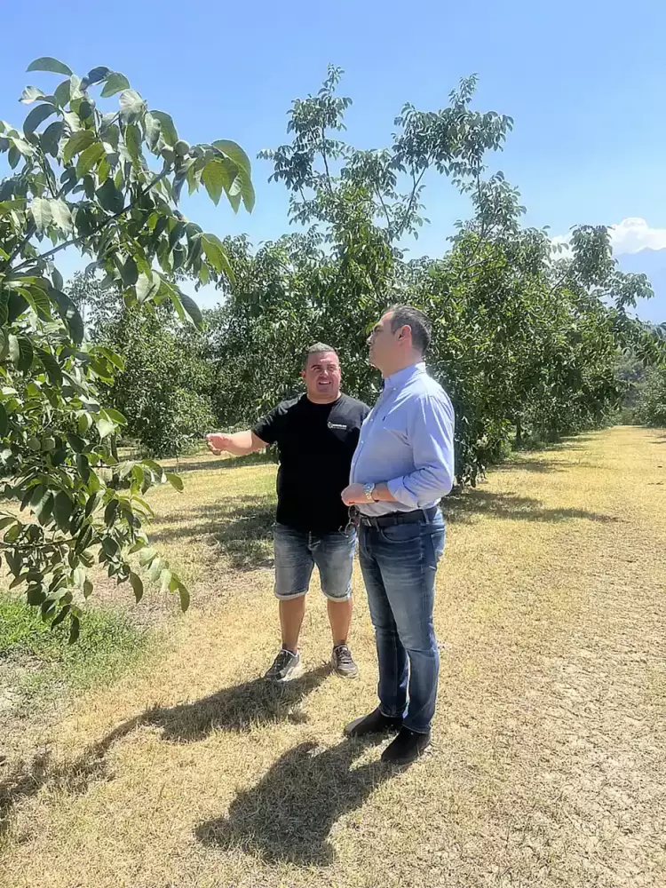 Την επιτάχυνση της διαδικασίας εκταμίευσης των αποζημιώσεων για τους αγρότες από τη χαλαζόπτωση, ζήτησε ο Σπύρος Κουλκουδίνας Την επιτάχυνση της διαδικασίας εκταμίευσης των αποζημιώσεων για τους αγρότες από τη χαλαζόπτωση, ζήτησε ο Σπύρος Κουλκουδίνας