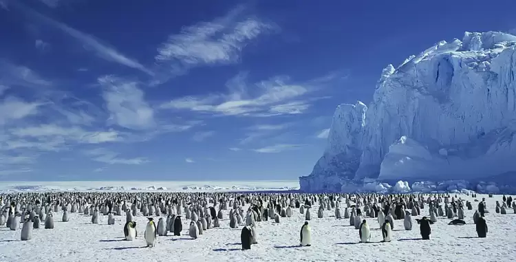 Ανταρκτική: 19+1 πράγματα που ίσως δεν γνωρίζατε για την νοτιότερη ήπειρο της Γης