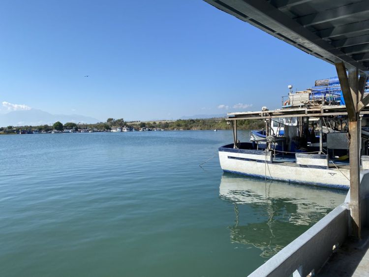 Αποκλειστικό: Το κύκνειο άσμα της μυδοκαλλιέργειας στην Πιερία