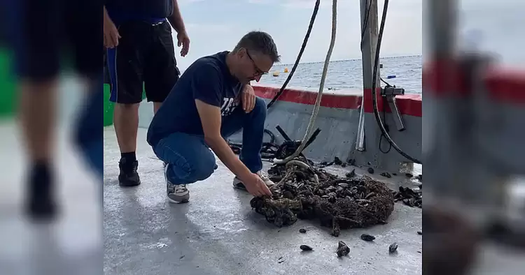 Αυτοψία στις μυδοκαλλιέργειες στη Βόρεια Πιερία