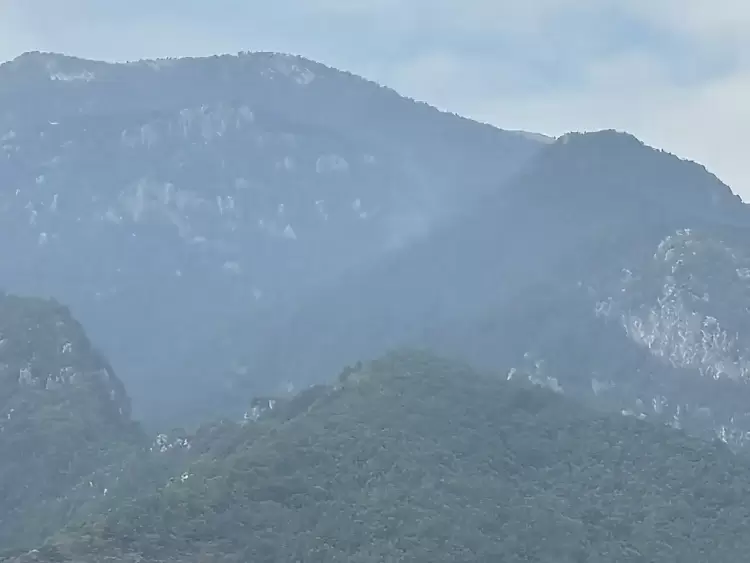 Δασικές πυρκαγιές στον Όλυμπο: Ενημέρωση από την Διεύθυνση Δασών Πιερίας