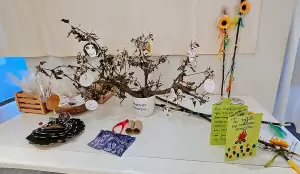 Δημοτική Βιβλιοθήκη Κατερίνης: «Αυλαία» στην Καλοκαιρινή Εκστρατεία Ανάγνωσης και Δημιουργικότητας 2024