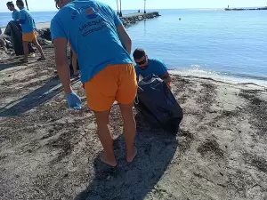 Εθελοντικός καθαρισμός παραλίας από τους ναυαγοσώστες της Lifeguard Patrol, Τετάρτη, 11 Σεπτεμβρίου 2024