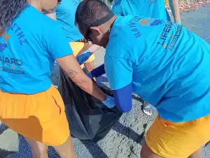 Εθελοντικός καθαρισμός παραλίας από τους ναυαγοσώστες της Lifeguard Patrol, Τετάρτη, 11 Σεπτεμβρίου 2024