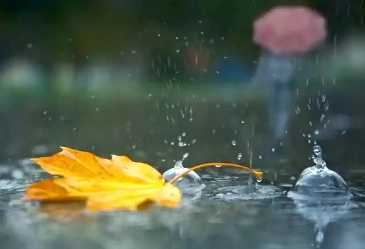 Ο καιρός σήμερα, Κυριακή 8/9: Άστατος με νεφώσεις, τοπικές βροχές και σποραδικές καταιγίδες Ο καιρός σήμερα, Κυριακή 8/9: Άστατος με νεφώσεις, τοπικές βροχές και σποραδικές καταιγίδες