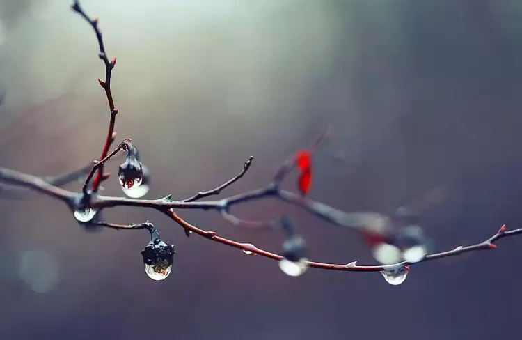 Ο καιρός σήμερα, Τετάρτη 11/9: Άστατος με συννεφιά και τοπικές βροχές Ο καιρός σήμερα, Τετάρτη 11/9: Άστατος με συννεφιά και τοπικές βροχές