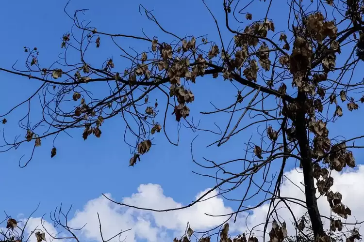 Ο καιρός έως τις αρχές Οκτωβρίου - Από σήμερα άνοδος της θερμοκρασίας Ο καιρός έως τις αρχές Οκτωβρίου – Από σήμερα άνοδος της θερμοκρασίας