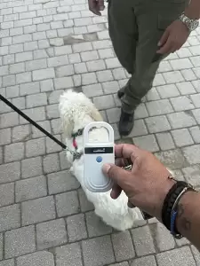 Κατερίνη: Έλεγχοι από τον Δήμο, σε δεσποζόμενα ζώα συντροφιάς από τη Δημοτική Αστυνομία Κατερίνη: Έλεγχοι από τον Δήμο, σε δεσποζόμενα ζώα συντροφιάς από τη Δημοτική Αστυνομία