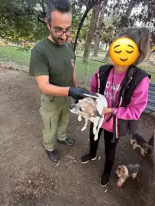 Κατερίνη: Έλεγχοι από τον Δήμο, σε δεσποζόμενα ζώα συντροφιάς από τη Δημοτική Αστυνομία Κατερίνη: Έλεγχοι από τον Δήμο, σε δεσποζόμενα ζώα συντροφιάς από τη Δημοτική Αστυνομία