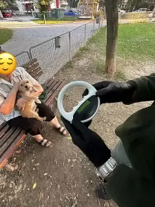 Κατερίνη: Έλεγχοι από τον Δήμο, σε δεσποζόμενα ζώα συντροφιάς από τη Δημοτική Αστυνομία Κατερίνη: Έλεγχοι από τον Δήμο, σε δεσποζόμενα ζώα συντροφιάς από τη Δημοτική Αστυνομία