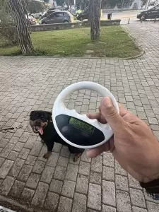 Κατερίνη: Έλεγχοι από τον Δήμο, σε δεσποζόμενα ζώα συντροφιάς από τη Δημοτική Αστυνομία Κατερίνη: Έλεγχοι από τον Δήμο, σε δεσποζόμενα ζώα συντροφιάς από τη Δημοτική Αστυνομία