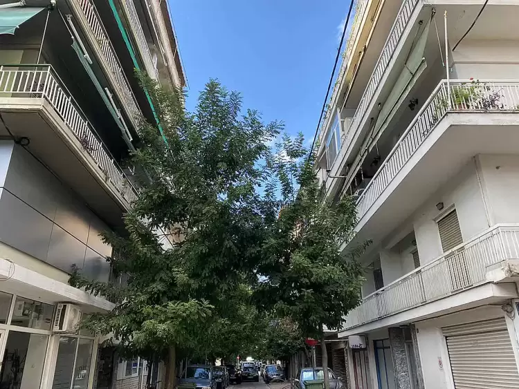 Κατερίνη: Προβλήματα από τα δέντρα στον αστικό ιστό της πόλης Κατερίνη: Προβλήματα από τα δέντρα στον αστικό ιστό της πόλης