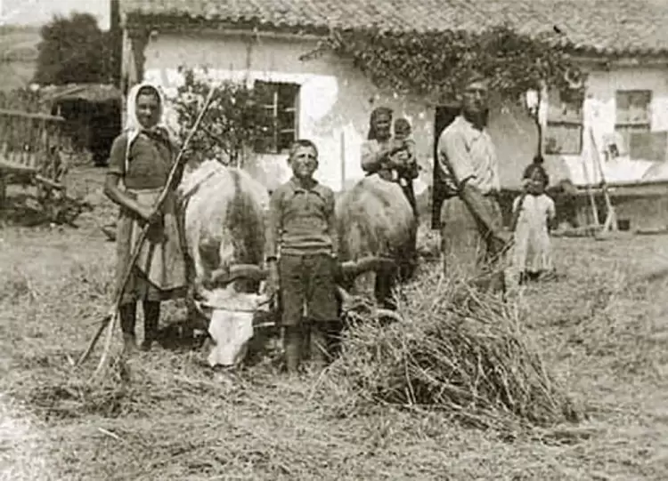Η ζωή των αγροτών της περιφέρειας Κατερίνης στο μεσοπόλεμο