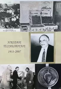 Δήμος Δίου Ολύμπου: Με επιτυχία διοργανώθηκε η «1η Γιορτή Ακτινιδίου» στη Νέα Έφεσο