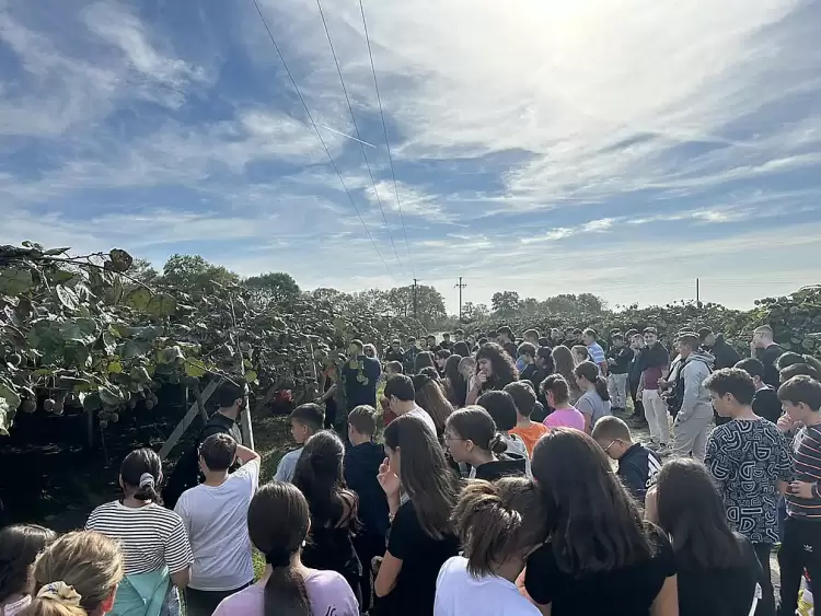 Δήμος Κατερίνης - Γανόχωρα: Με πρωταγωνιστές τους μαθητές η έναρξη της 1ης Γιορτής Ακτινιδίου (εικόνες) Δήμος Κατερίνης – Γανόχωρα: Με πρωταγωνιστές τους μαθητές η έναρξη της 1ης Γιορτής Ακτινιδίου