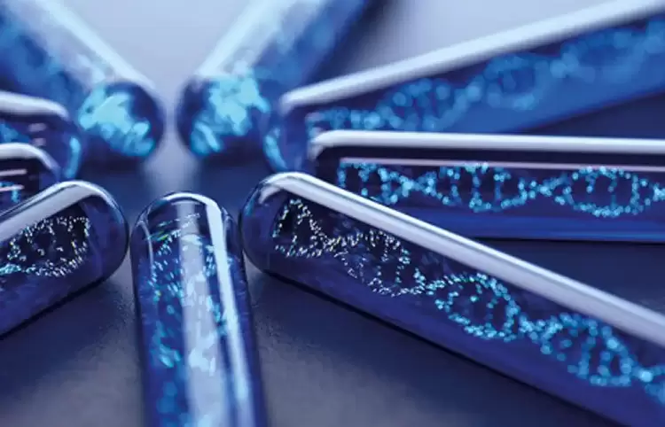 Η Ελβετία αναδείχθηκε ως η πιο καινοτόμος χώρα στον κόσμο Η Ελβετία αναδείχθηκε ως η πιο καινοτόμος χώρα στον κόσμο