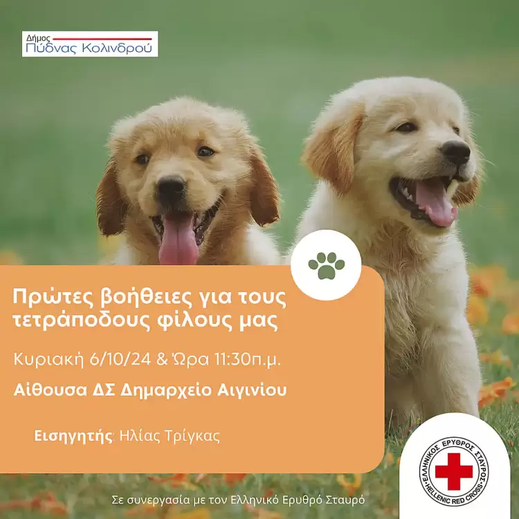 Ημερίδα στον Δήμο Πύδνας-Κολινδρού με θέμα: Πρώτες βοήθειες στους τετράποδους φίλους μας Ημερίδα στον Δήμο Πύδνας Κολινδρού με θέμα: Πρώτες βοήθειες στους τετράποδους φίλους μας