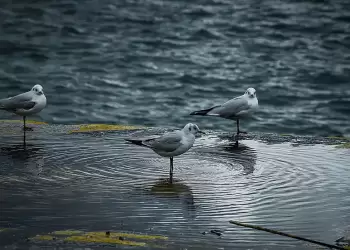 Ο καιρός σήμερα, Παρασκευή 11/10: Λίγες νεφώσεις με πιθανότητα για τοπικές βροχές Ο καιρός σήμερα, Παρασκευή 11/10: Λίγες νεφώσεις με πιθανότητα για τοπικές βροχές