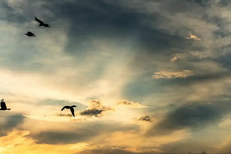 Ο καιρός σήμερα, Πέμπτη 24/10: Γενικά αίθριος με λίγες τοπικές νεφώσεις