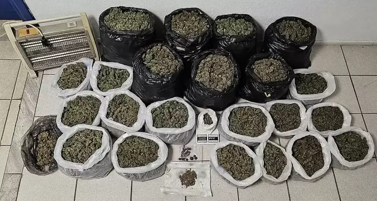 Πιερία: Συνελήφθη άντρας που είχε κρύψει σχεδόν 22 κιλά κάνναβη σε αγρόκτημα (εικόνες – βίντεο)