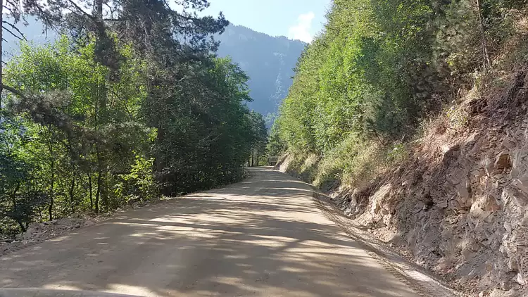 H Διεύθυνση Δασών Πιερίας σε ειδική εκδήλωση στο Ζάππειο