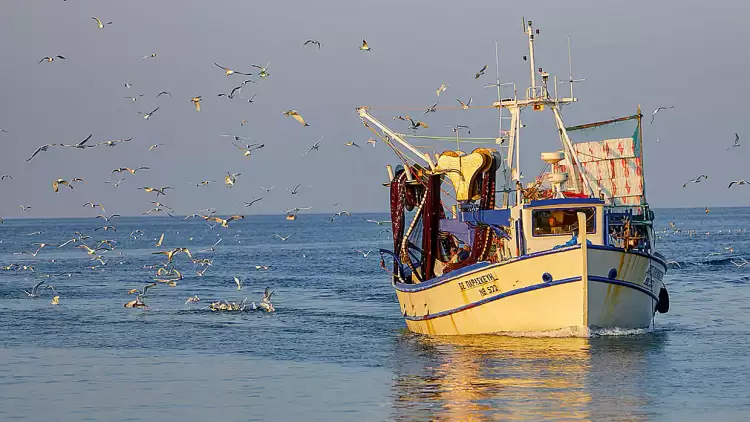 Αποζημίωση στα αλιευτικά σκάφη της παράκτιας αλιείας
