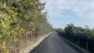 Δήμος Δίου Ολύμπου: Ασφαλτόστρωση αγροτικών δρόμων στο Νέο Παντελεήμονα