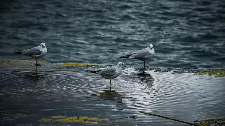Ο καιρός για την Κατερίνη και την Πιερία σήμερα 05/11/2024: Λίγες νεφώσεις με πιθανότητα ασθενών τοπικών βροχών