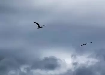 Ο καιρός για την Κατερίνη και την Πιερία σήμερα 13/11/2024: Νεφώσεις με τοπικές βροχές και μεμονωμένες καταιγίδες Ο καιρός για την Κατερίνη και την Πιερία σήμερα 13/11/2024: Νεφώσεις με τοπικές βροχές και μεμονωμένες καταιγίδες