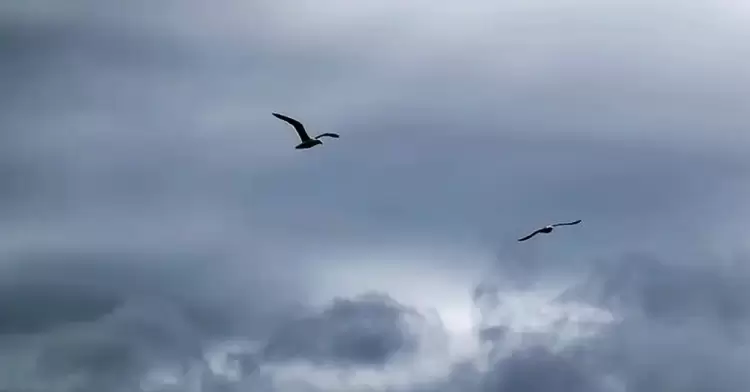 Ο καιρός για την Κατερίνη και την Πιερία σήμερα 13/11/2024: Νεφώσεις με τοπικές βροχές και μεμονωμένες καταιγίδες