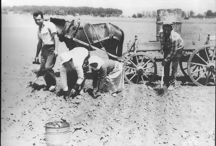 Η καλλιέργεια του καπνού στην Κατερίνη, ο ρόλος των προσφύγων και ο Δήμος των 10.138 κατοίκων στα 1929