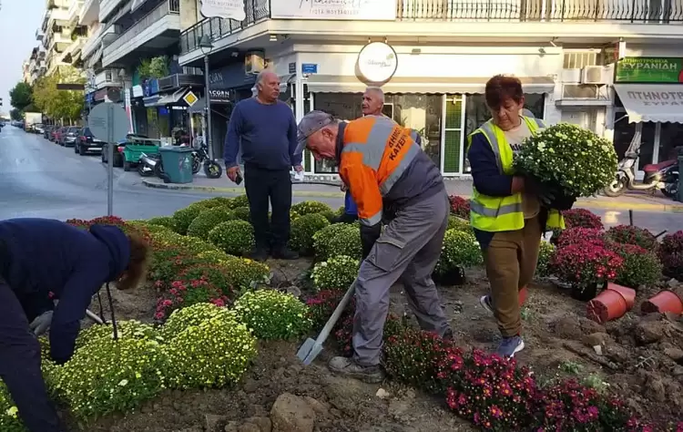Κατερίνη: Φύτευση ανθοφόρων λουλουδιών σε πλατείες & κοινόχρηστους χώρους Κατερίνη: Φύτευση ανθοφόρων λουλουδιών σε πλατείες & κοινόχρηστους χώρους