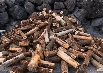 Καυσόξυλα και πετρέλαιο θέρμανσης - Που θα κυμανθούν οι τιμές φέτος Καυσόξυλα και πετρέλαιο θέρμανσης – Που θα κυμανθούν οι τιμές φέτος