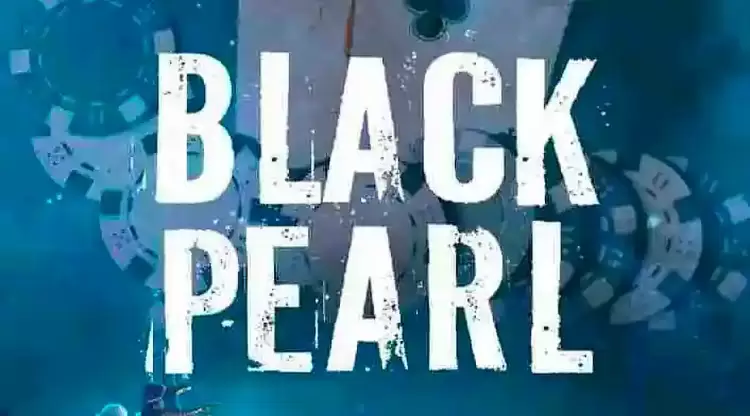 Κριτική για το βιβλίο Black Pearl του Θεοχάρη Μπικηρόπουλου Κριτική για το βιβλίο Black Pearl του Θεοχάρη Μπικηρόπουλου