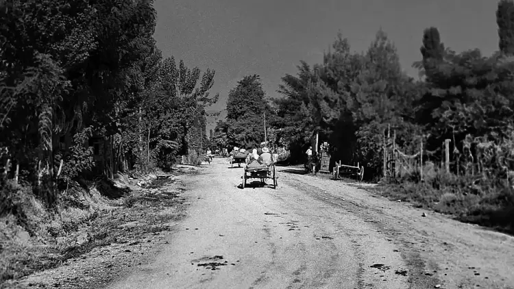 Πολιτική, επαγγελματική και κοινωνική ζωή στη μεσοπολεμική Κατερίνη του 1925