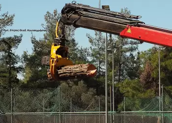 Σύγχρονη υλοτομία πόλεως και στην Ελλάδα