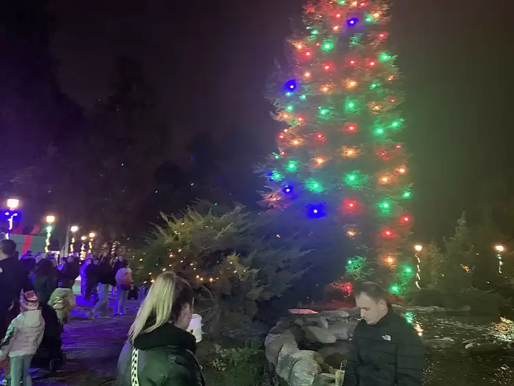 0 02 05 Fd1b888332a8628537383568af9f5710d45e43b77329a0ba5687d65ed0adcb22 Fdd0702a72bce96c 1240 930