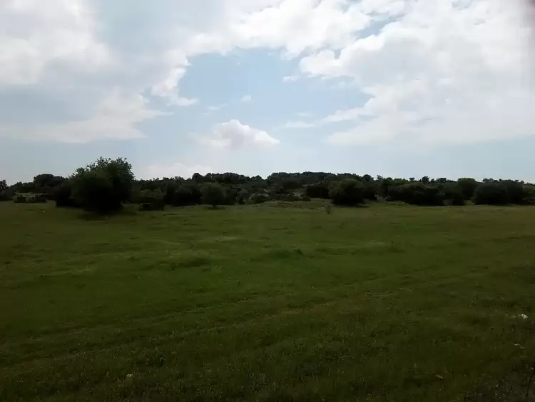 Αριστοτέλειο Πανεπιστήμιο Θεσσαλονίκης: Τι μας διδάσκουν τα μικρόβια εδάφους για την κλιματική αλλαγή