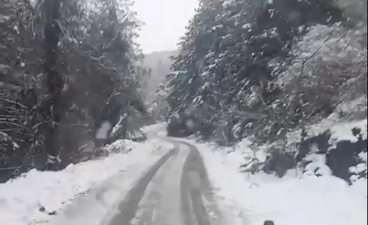 Δήμος Κατερίνης: Στην Άνω Μηλιά επιχείρησαν τα συνεργεία αποχιονισμού