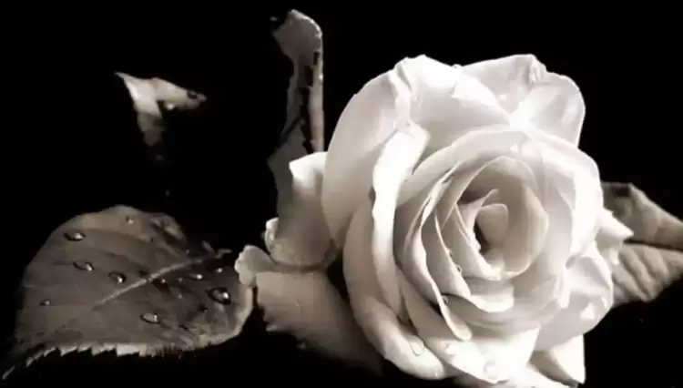 Η Ε.Σ.ΠΕ.Ε. Πιερίας εκφράζει, τα συλλυπητήρια στην οικογένεια του του αγαπητού μας συναδέλφου Δημητρίου Χρυσόπουλου. Η Ε.Σ.ΠΕ.Ε. Πιερίας εκφράζει, τα συλλυπητήρια στην οικογένεια του του αγαπητού μας συναδέλφου Δημητρίου Χρυσόπουλου.